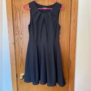 Express Classic Fit & Flare Dress